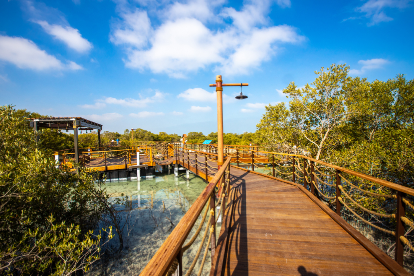 UAE : மீண்டும் திறக்கப்படவிருக்கும் இயற்கை எழில் மிகுந்த Jubail Mangrove Park..!!