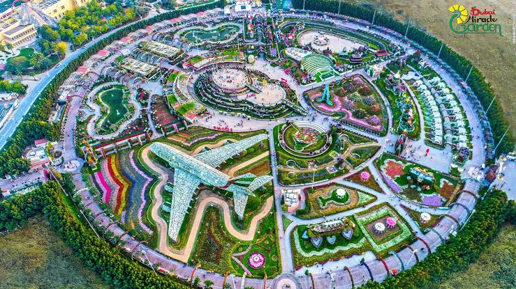 UAE: 150 மில்லியனுக்கும் மேலான பூக்களுடன் மீண்டும் திறக்கப்படும் மிராக்கிள் கார்டன்..!! தேதியை வெளியிட்ட நிர்வாக குழு..!!