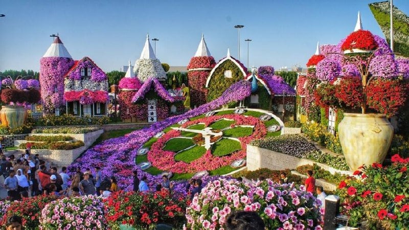 UAE: இலட்சக்கணக்கான மலர்கள் பூத்துக்குலுங்கும் துபாய் மிராக்கிள் கார்டன் இன்று முதல் மீண்டும் திறப்பு… தொடங்கிய புதிய சீசன்..!!
