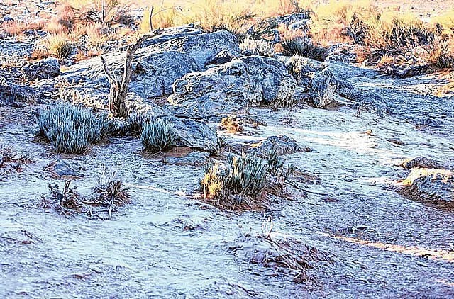 UAE: நாளை முதல் குளிர் படிப்படியாக குறையும்..!! வானியல் நிபுணர் தகவல்